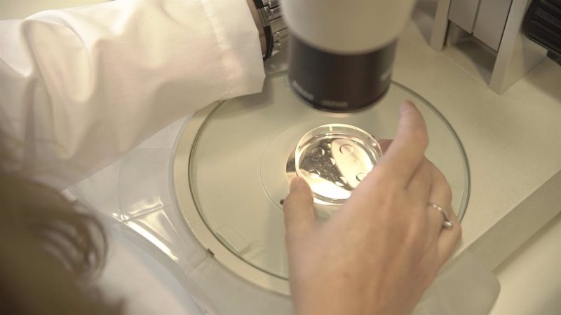 Fecundis consigue 2,4 millones en una ronda de financiación semilla.