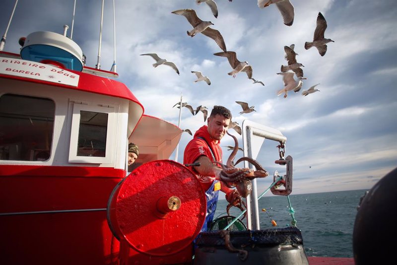 El Partido Popular insta al Gobierno a solicitar en Europa una solución al conflicto pesquero con Marruecos.