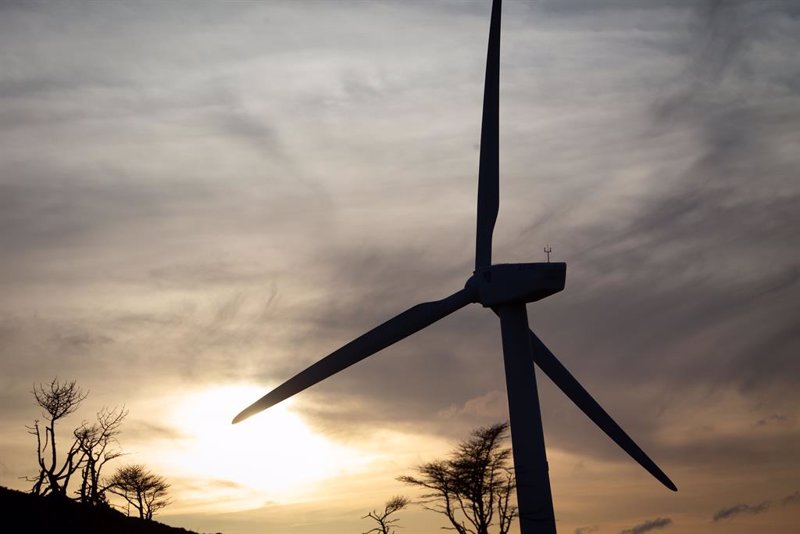 El precio de la luz cae drásticamente este domingo, alcanzando su nivel más bajo desde junio, a 10,71 euros/MWh.